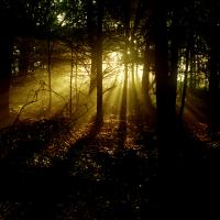 A relay hike of the Appalachian Trail by journalists from The Hartford Courant, The Atlanta Journal and Constitution, the Raleigh News and Observer, The Pittsburgh Post Gazette, and the Portland Press Telegram led to a six-month series of stories and photos and an illustrated book. 