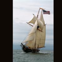 The recreation and maiden voyage of the Freedom Schooner Amistad, a replica of the vessel in which 53 captive Africans rebelled while being shipped to lives of slavery. Their quest for freedom would take them from what is now the African country of Sierra Leone to the United States Supreme Court, where former U.S. President John Q. Adams would argue their case and eventually win their freedom.